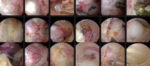 Medical Innovation Collaboration Program